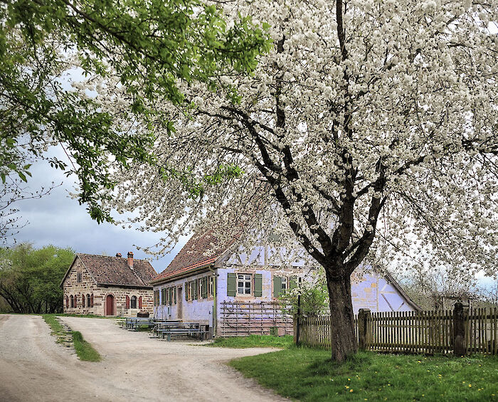 Weinbauernhaus aus Verrenberg im Frühling