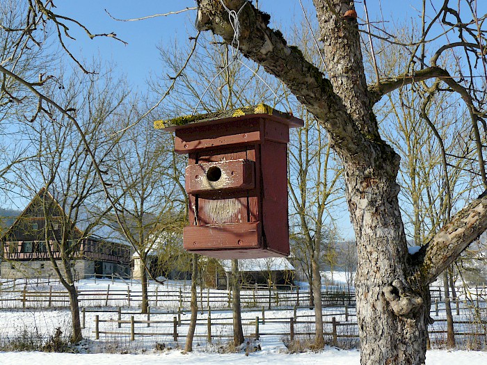 Winter Steigenhaus